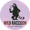 Wild Raccoon
